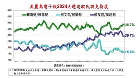 美麗島98波民調(圖／美麗島電子報提供)