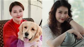 周海媚。（圖／翻攝自微博）