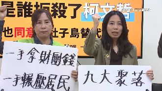 控黃珊珊助建商炒社子島地皮　自救會痛批