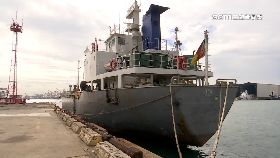 拍賣飛燕.號1200