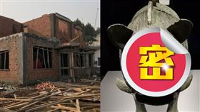 ▲湖南一對父子在蓋新房時，無意間挖出了一隻價傎連城的「豬」。（圖／翻攝自微博）