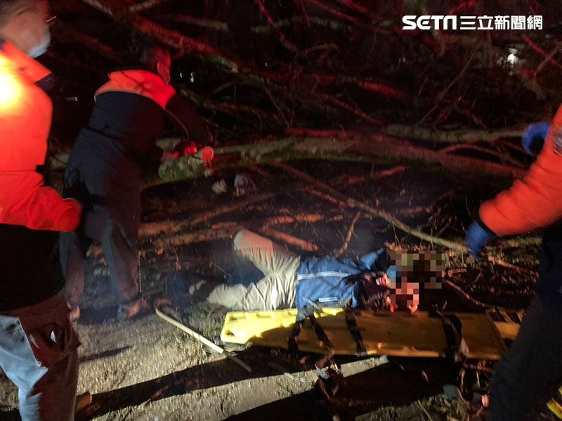 新／南投地理中心碑巨樹倒　3人頭破送醫