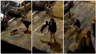 台南短褲妹虐狗重摔科基　網怒號召丟雞蛋