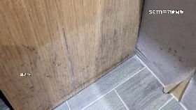 文 礁溪住霉房1800