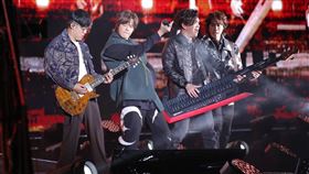 八三夭。（記者楊澍攝影