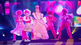 ▲卡莉怪妞。（圖／台南好YOUNG）