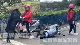 新北市,三芝,黑山羊,女騎士