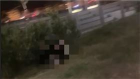 元旦凌晨公園活春宮。爆料公社二社