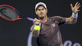 ▲莫瑞（Andy Murray）透露，2024年可能是封拍前最後一個賽季。（圖／美聯社／達志影像）