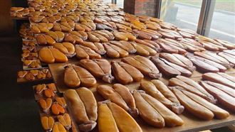 彰線西捕撈6萬尾烏魚創5年新高　爽賺千萬