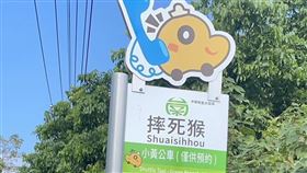 台南,公車,摔死猴,黃偉哲,左鎮,小黃公車