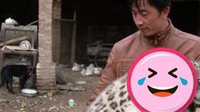 （圖／翻攝自微博）