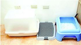 約會,尿急,貓砂盆,Reddit