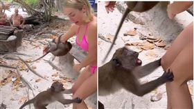 山道猴子就是狂！看到比基尼正妹就硬上肉體，她直呼「後悔去度假」。（圖／翻自IG）