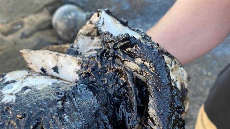 噁心重油汙染半個台灣海岸　兇手抓不到！