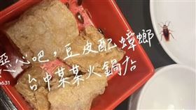 台中迴轉火鍋店端出「豆皮蟑螂」！目測數量網嚇傻：子子孫孫都在裡面（圖／翻攝自爆料公社二社）