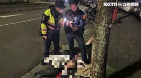 北市周女醉倒成功路五段圓環，警方通知男友協助帶回。（圖／翻攝畫面）