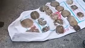 （圖／翻攝自搜狐網）