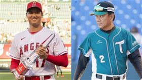 洪一中,台鋼雄鷹,Podcast,馬力歐陪你喝一杯,日本,美國,大谷翔平