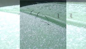 水氣豐沛！合歡山雨水夾霰山頭冰珠等降雪（圖／翻攝台灣追雪團）