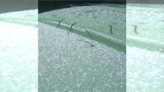 水氣豐沛！合歡山雨水夾霰山頭冰珠等降雪