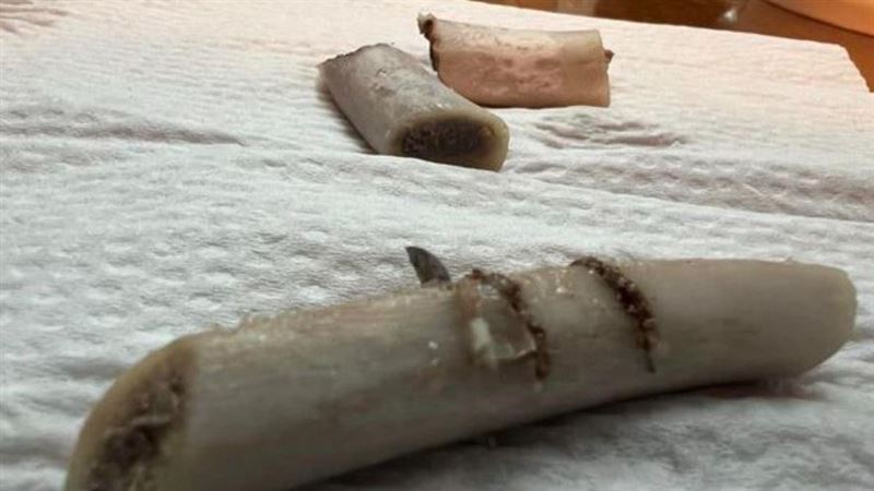 驚！好市多排骨藏刀片　北市衛生局要查了
