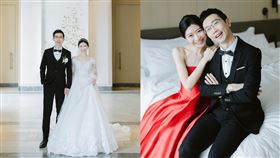 ▲蒼藍鴿（圖／翻攝自臉書）