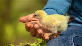 超市,少婦,脫褲,猥褻,抓癢