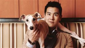 彭于晏,解放雙手,遛狗,胳肢窩