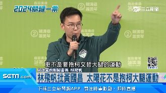 搶太陽花世代票　綠推CF訴求不走回頭路