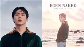 KINO。（圖／星月文創提供）