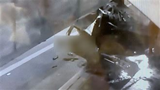 駕駛自撞卡車內求救　友人眼睜睜看他斷氣