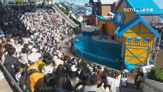 2020花蓮投票率倒數第2　業者催票推優惠