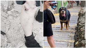 高雄,柴山,大型犬,攻擊,咬人,動保處,翻攝柴山志工奉茶隊