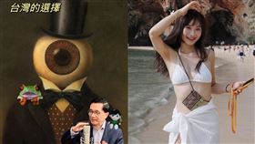 柯粉,關鍵,迷因圖,前總統,柯文哲,愛莉莎莎,陳水扁