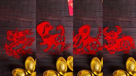 ▲今年犯太歲的四個生肖：龍、狗、兔、牛。（圖／CANVA）