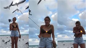 海鷗，我的超人！俯衝叼走網紅比基尼　整片雪白炸出全場嗨爆