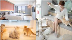 綠舞國際觀光飯店擼らら Sweets,綠舞國際觀光飯店提供