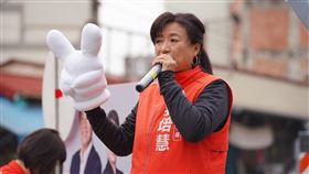 南投第二選區民進黨立委候選人蔡培慧，翻攝自臉書粉專