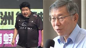 統神,張嘉航,柯文哲,戰犯,黃珊珊,假民調,國民黨

