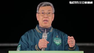 綠國會席次未過半　傳陳建仁昨請辭獲慰留