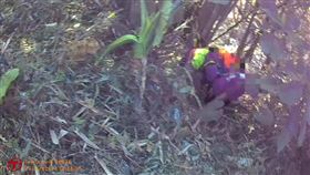 重機男阿婆灣摔落邊坡不治。（圖／翻攝畫面）