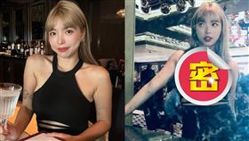 一隻阿圓,比基尼,戰袍,南半球,澳洲,郵輪