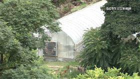 城市農夫風潮！ 林百里砸4億買明德樂園種菜