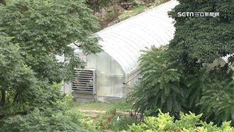 都市農夫租地種菜夯　雙北農地釋出超搶手