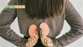 膀胱與腎臟關係密切，一旦腎臟發生病變，小便恐跟著失常。