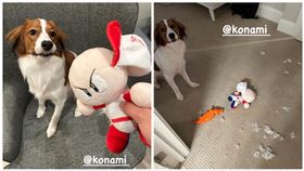 ▲大谷翔平的愛犬「Decoy」把遊戲角色布偶咬爛。（組合圖／翻攝自大谷翔平IG）