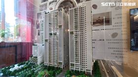 錢奕綱,大陳。（圖／記者陳韋帆攝影）