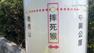 台南摔死猴聚落開票　侯康得票率僅21.5%