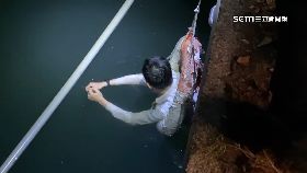 V真的墜愛河0800